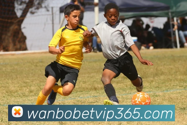 万博体育全站App